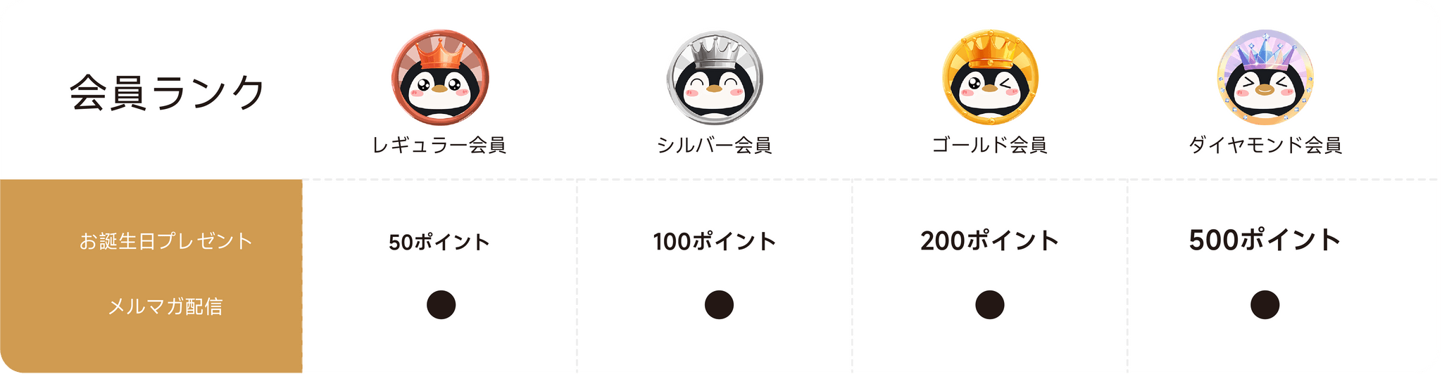 Activity Image