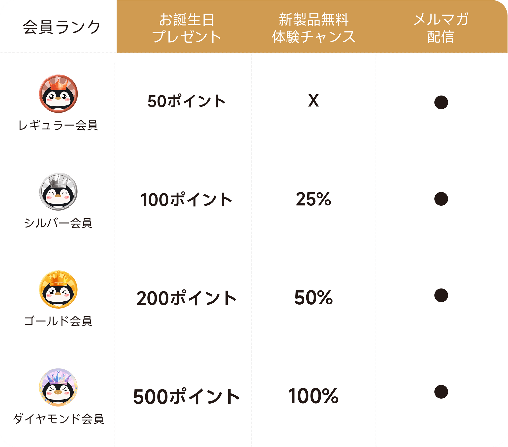 Activity Image
